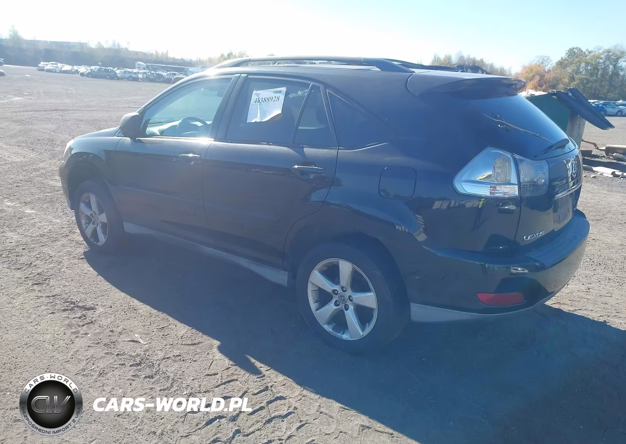 2004 Lexus Rx 330 VIN:2T2HA31U84C006090 - 3