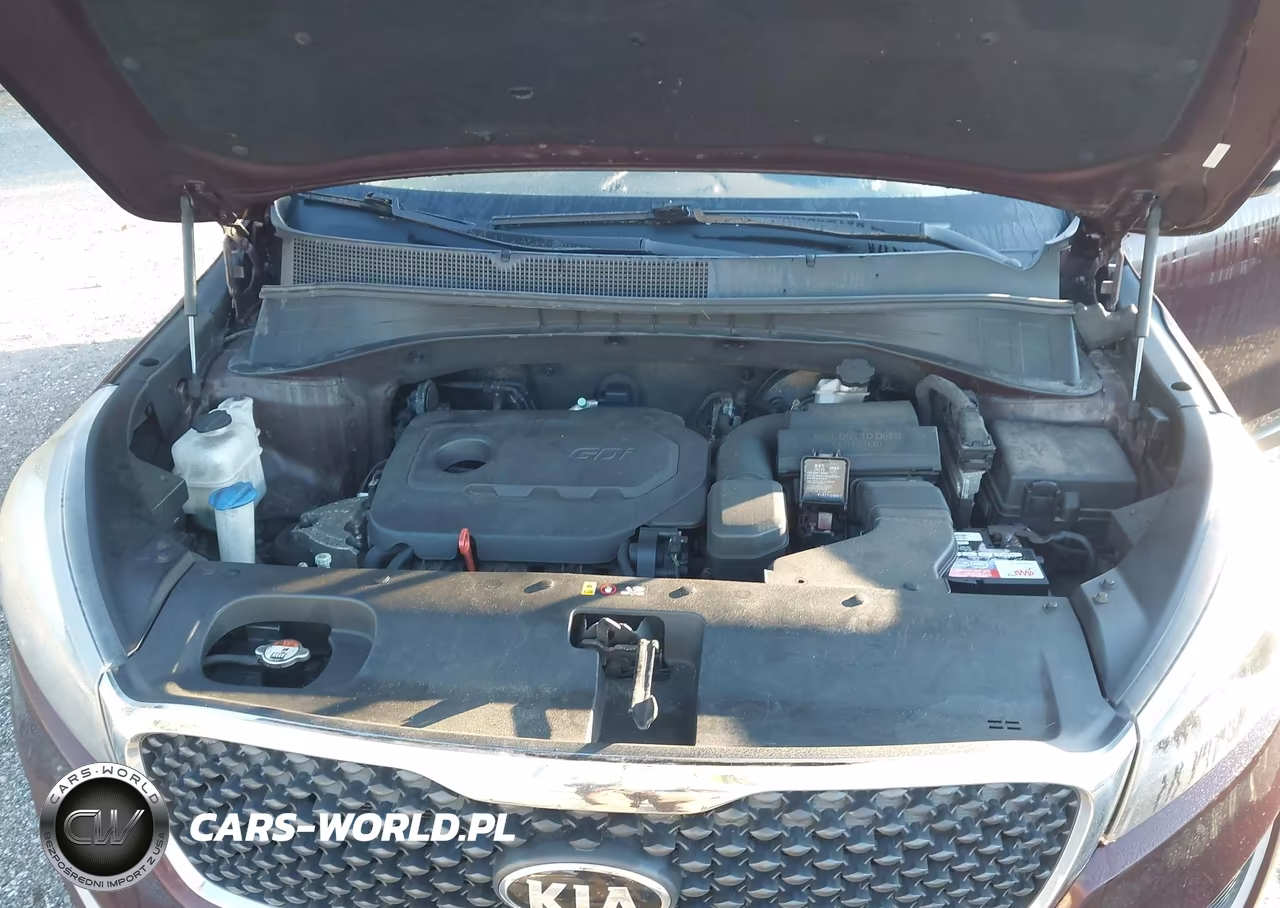 2017 Kia Sorento 2.4L Lx VIN:5XYPG4A39HG337248 - 10