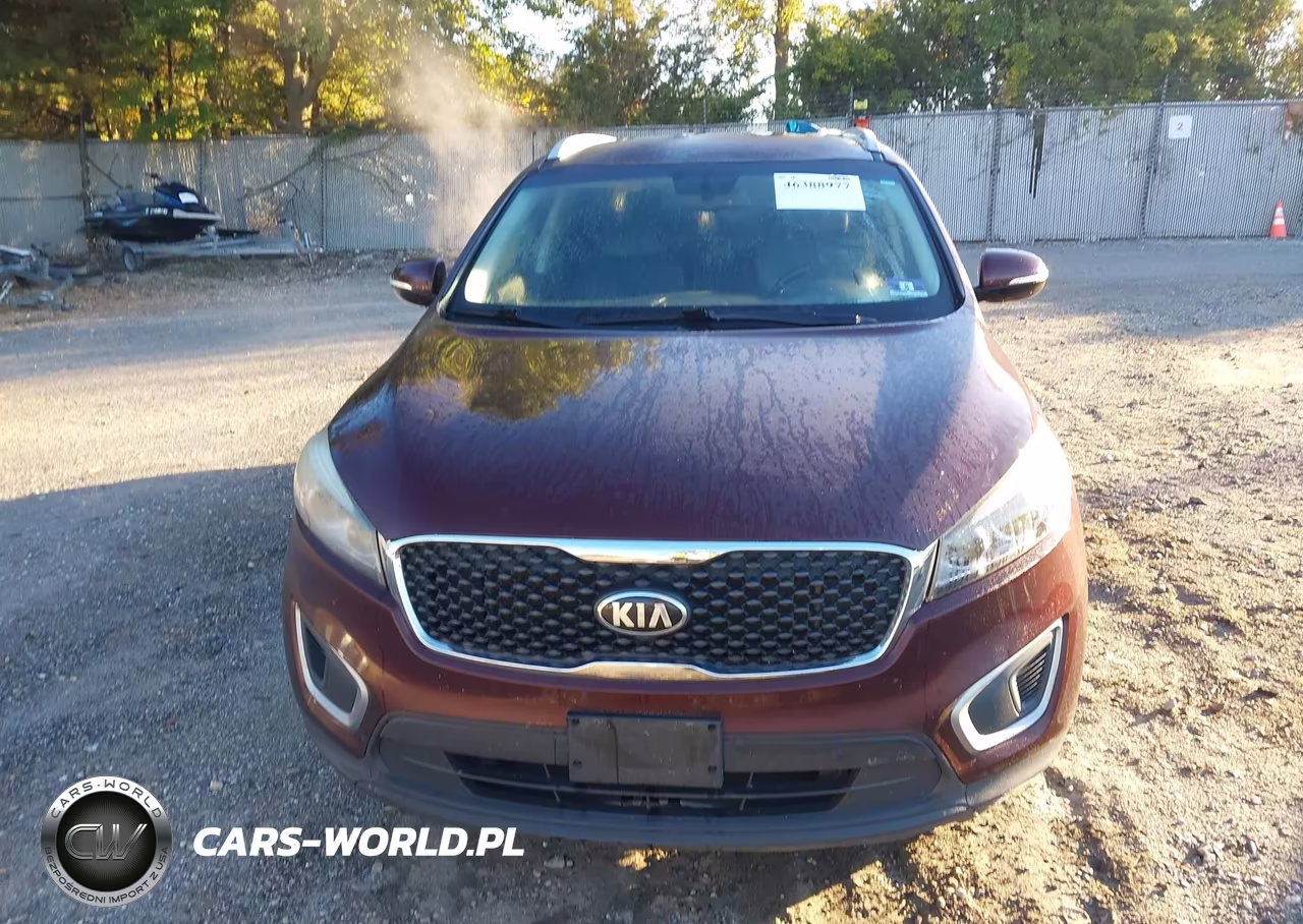2017 Kia Sorento 2.4L Lx VIN:5XYPG4A39HG337248 - 12