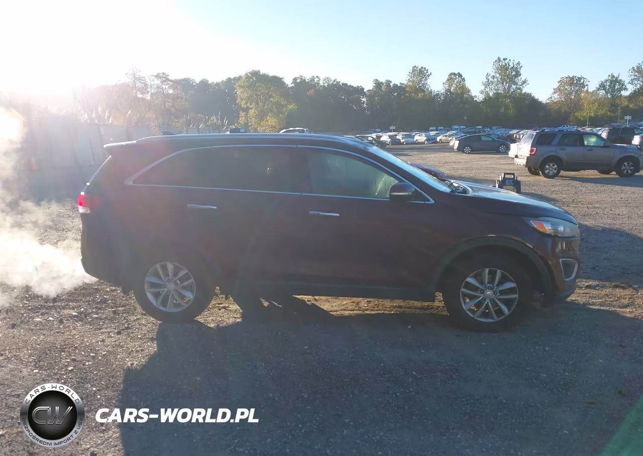 2017 Kia Sorento 2.4L Lx VIN:5XYPG4A39HG337248 - 13