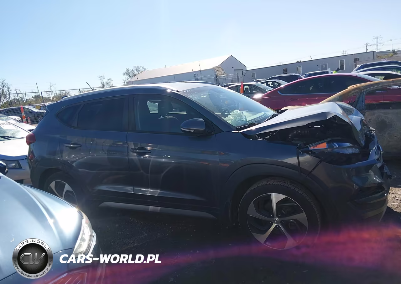 2017 Hyundai Tucson Sport VIN:KM8J33A26HU280651 - 13