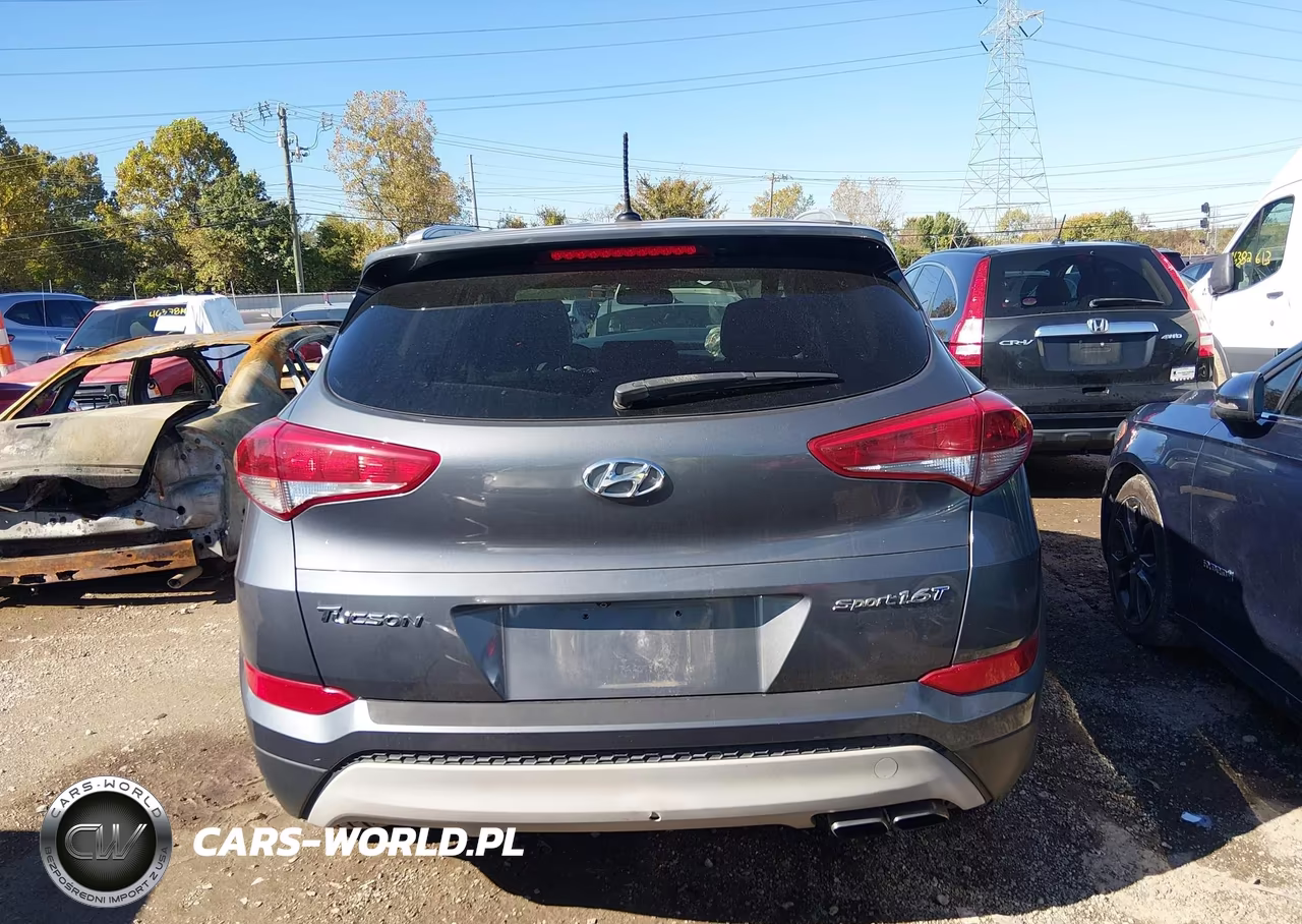 2017 Hyundai Tucson Sport VIN:KM8J33A26HU280651 - 16