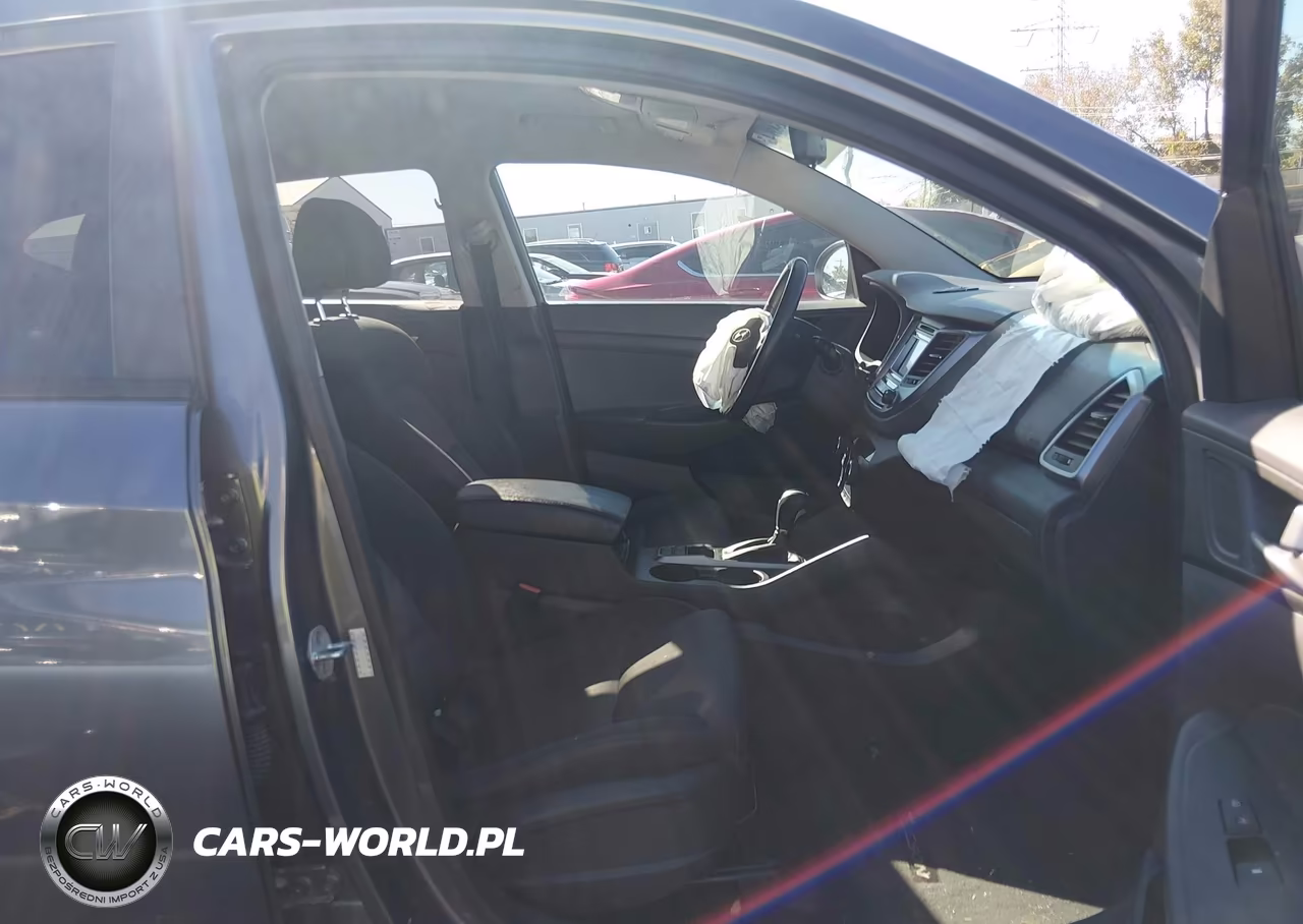 2017 Hyundai Tucson Sport VIN:KM8J33A26HU280651 - 5