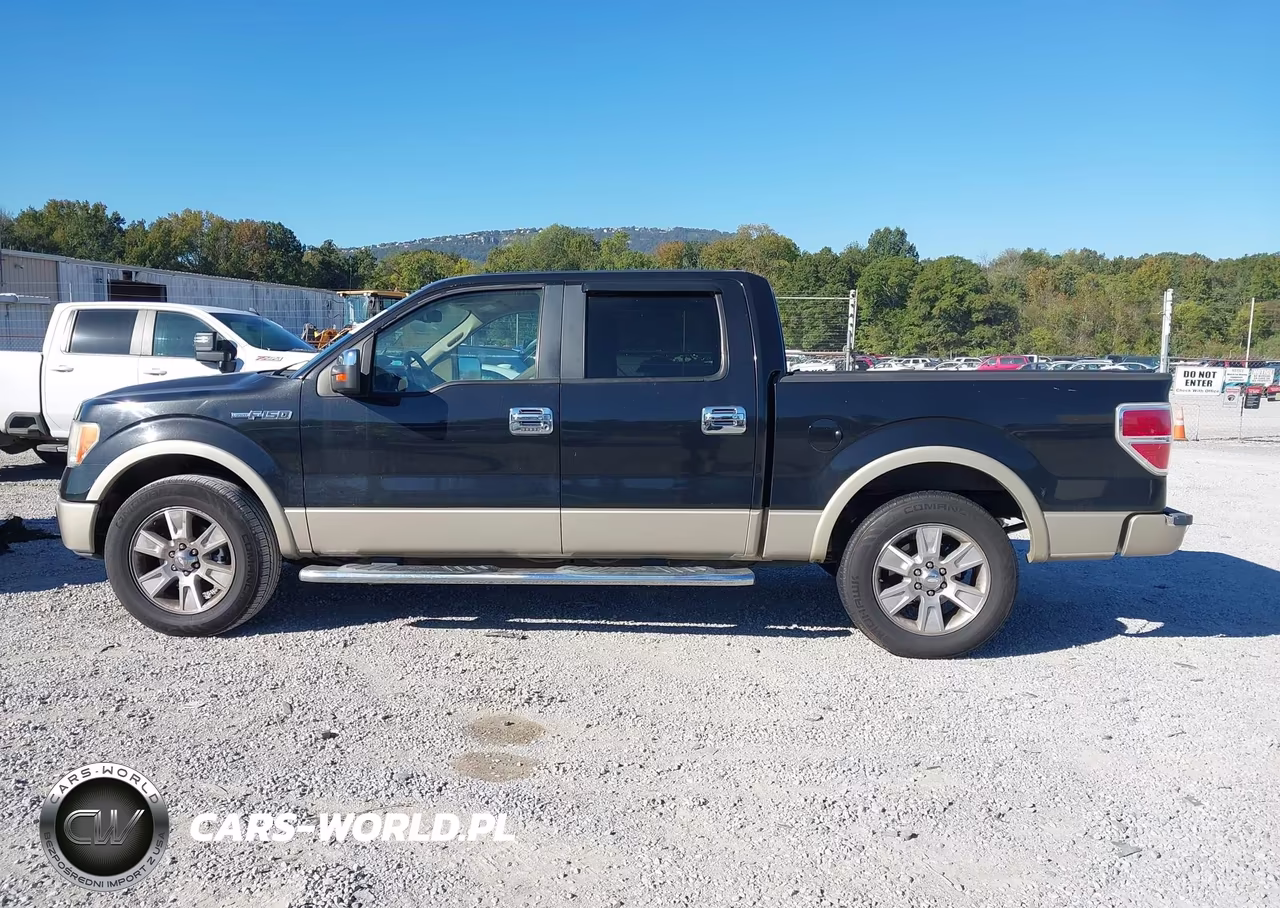 2010 Ford F-150 Lariat VIN:1FTFW1CVXAFC60085 - 14
