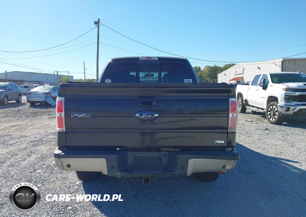2010 Ford F-150 Lariat VIN:1FTFW1CVXAFC60085 - 16