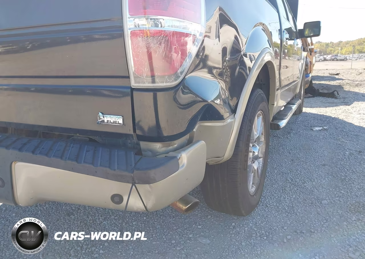 2010 Ford F-150 Lariat VIN:1FTFW1CVXAFC60085 - 18