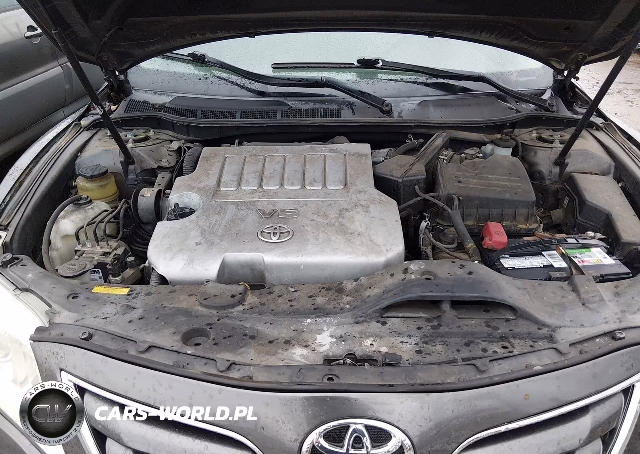 2010 Toyota Camry Le V6 VIN:4T1BK3EKXAU116116 - 10