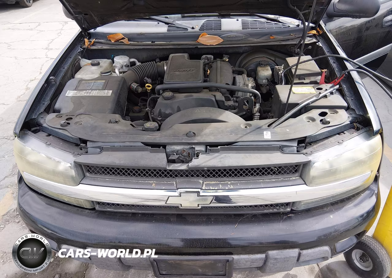 2002 Chevrolet Trailblazer VIN:1GNDT13S922227746 - 10