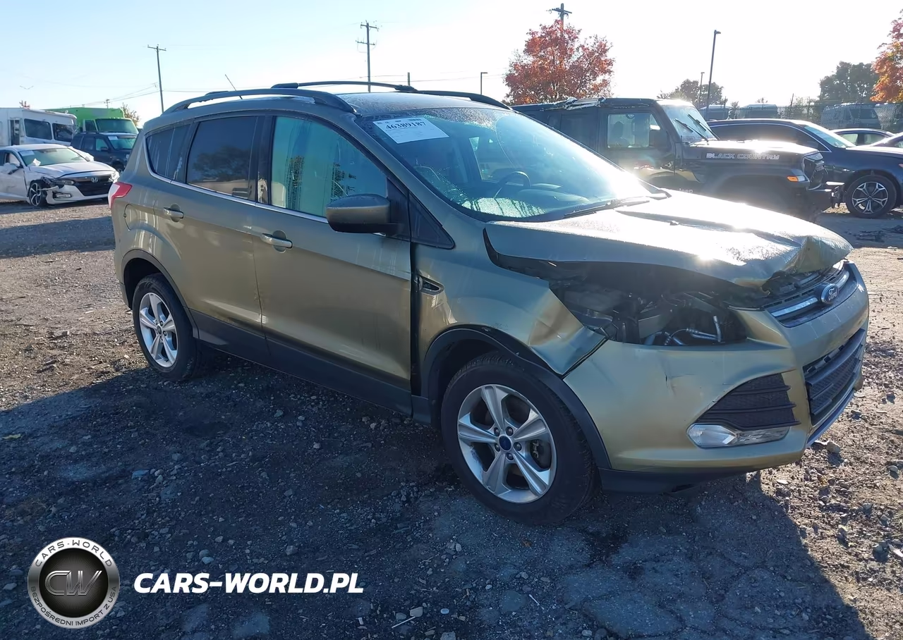2013 Ford Escape Se