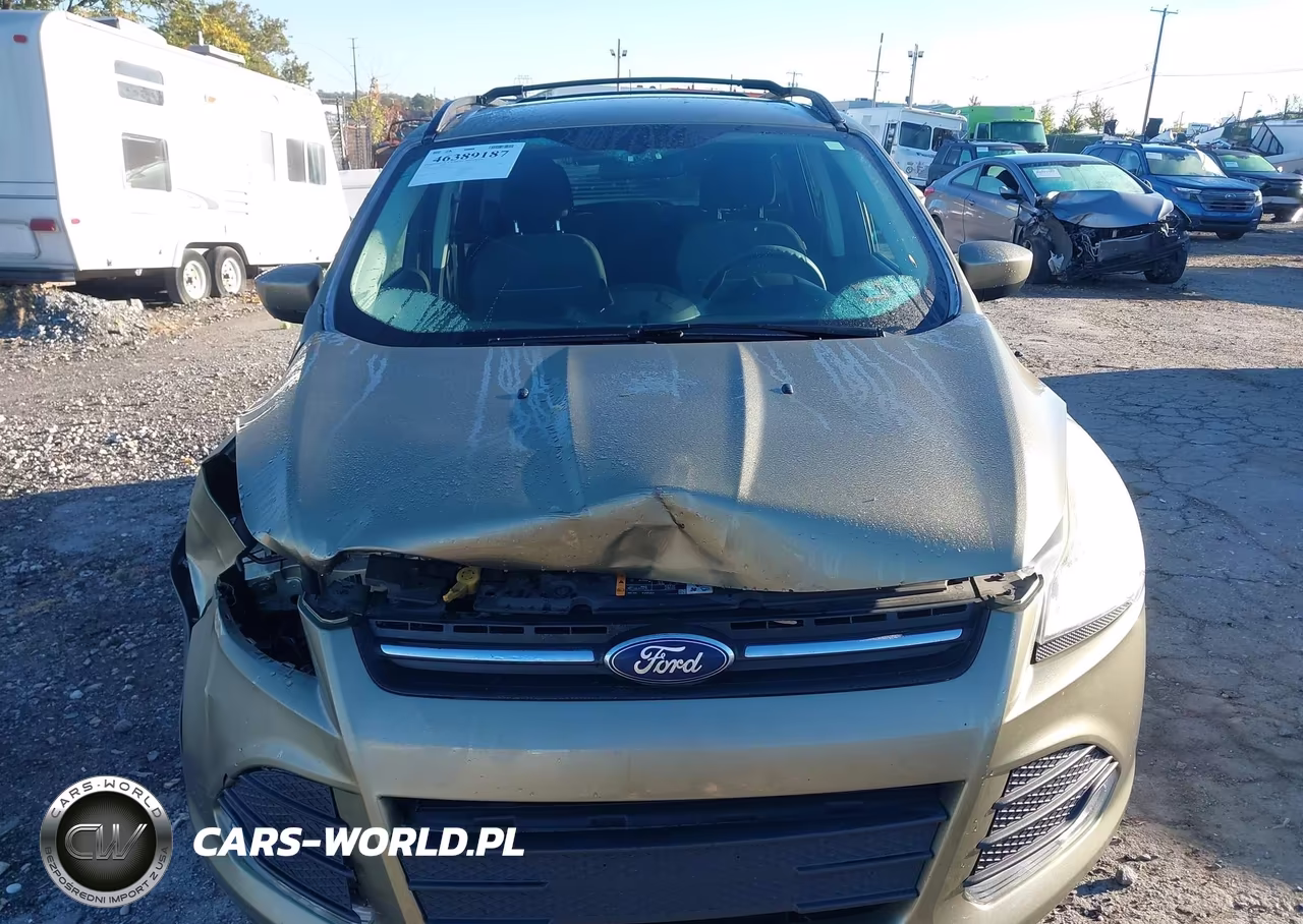 2013 Ford Escape Se VIN:1FMCU9GX0DUB88442 - 12