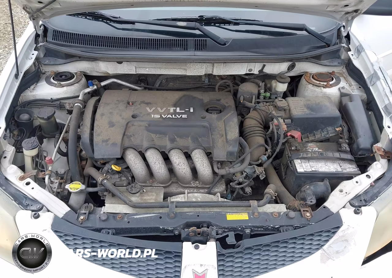 2004 Pontiac Vibe Gt VIN:5Y2SN64L24Z400600 - 10