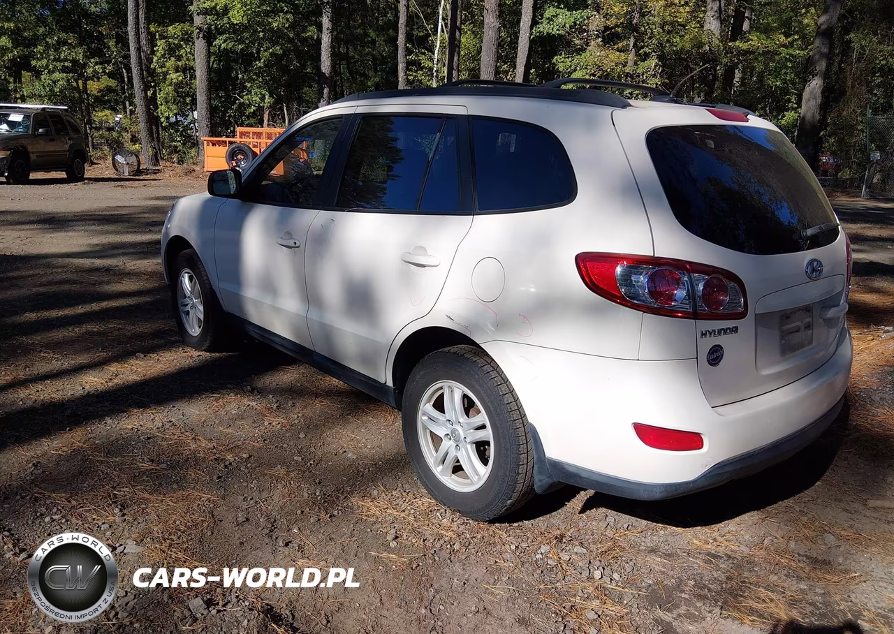 2010 Hyundai Santa Fe Gls VIN:5NMSG3AB6AH384387 - 3