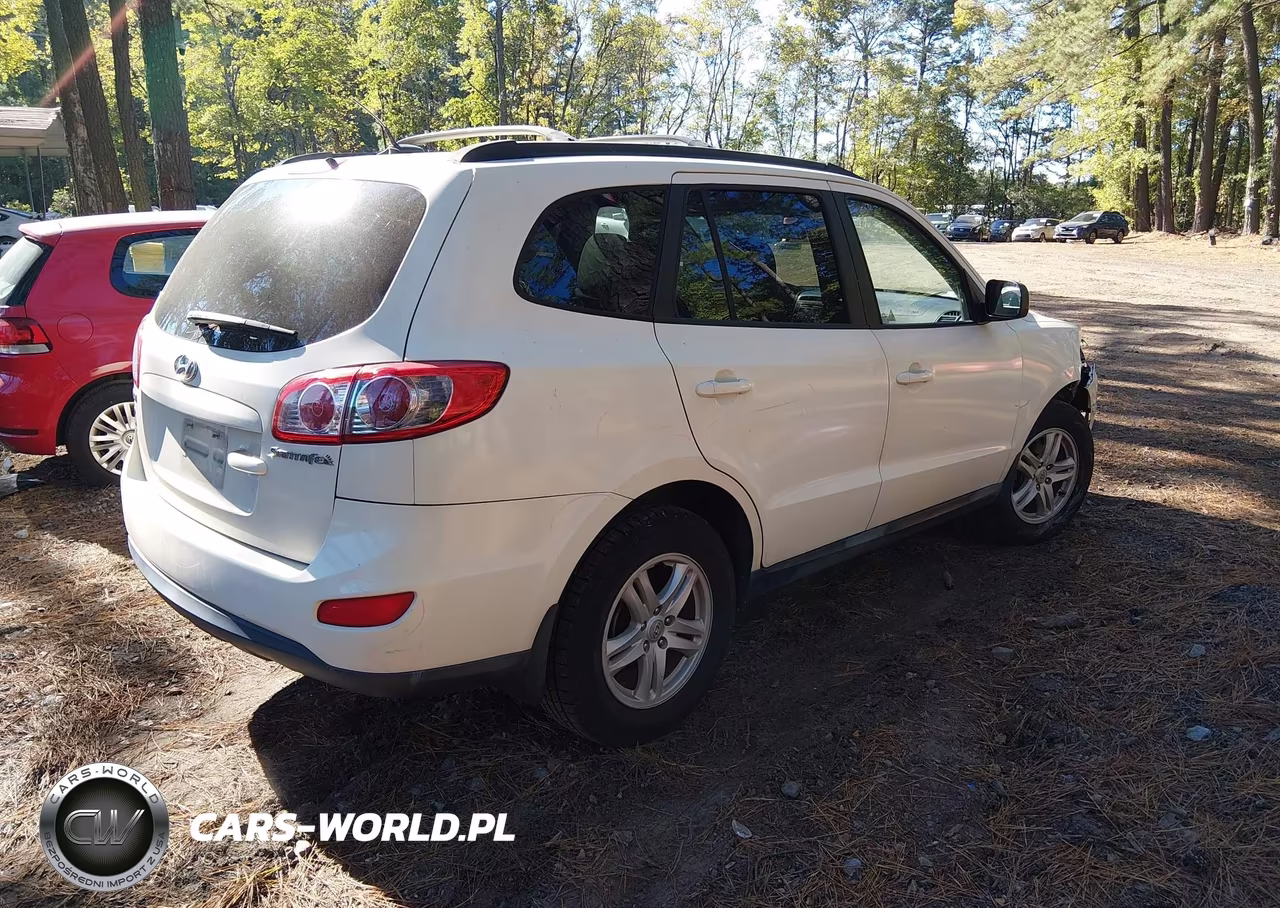 2010 Hyundai Santa Fe Gls VIN:5NMSG3AB6AH384387 - 4
