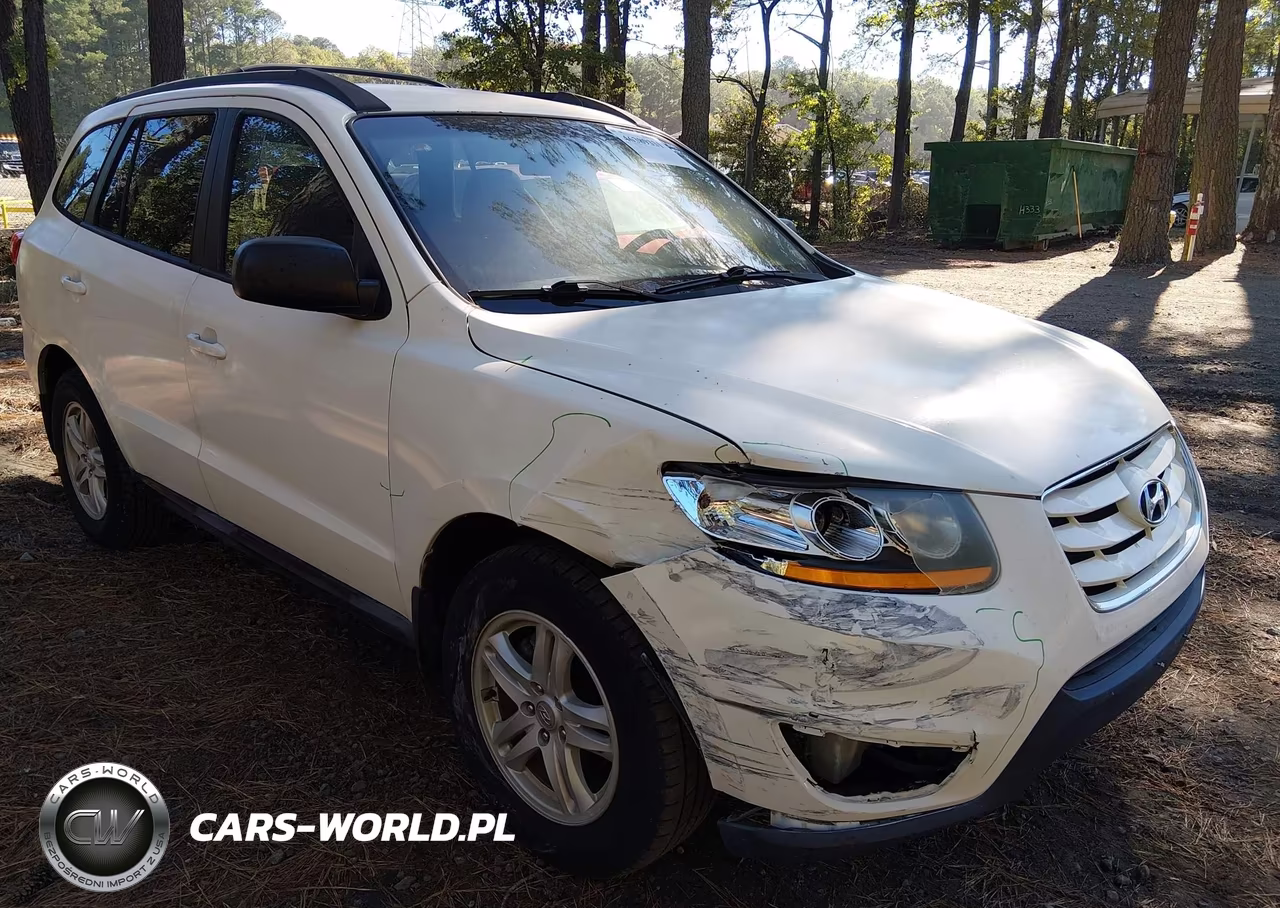 2010 Hyundai Santa Fe Gls VIN:5NMSG3AB6AH384387 - 6