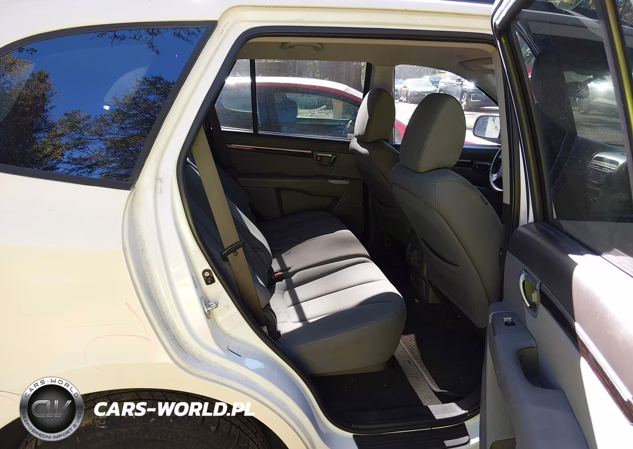 2010 Hyundai Santa Fe Gls VIN:5NMSG3AB6AH384387 - 8