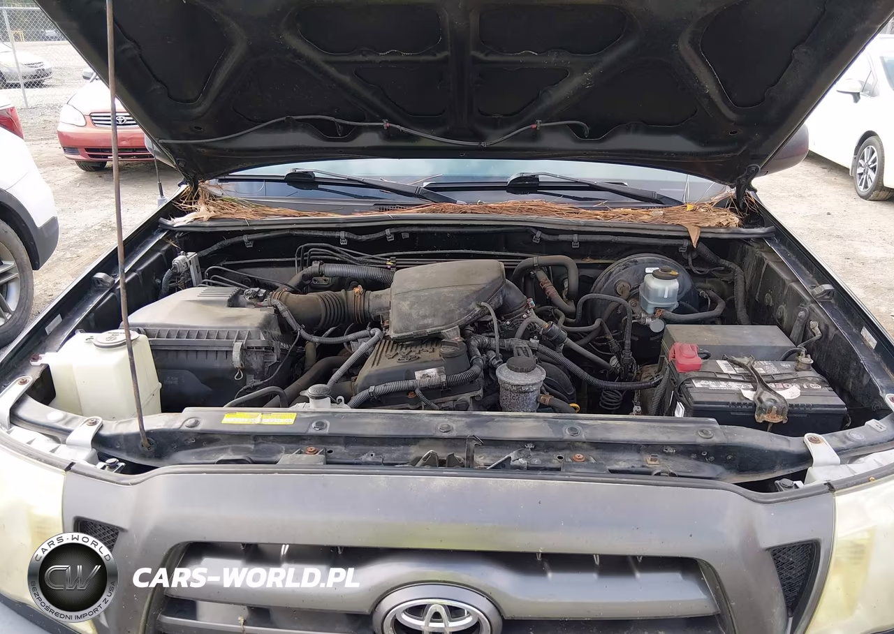 2009 Toyota Tacoma VIN:5TENX22N69Z629961 - 10