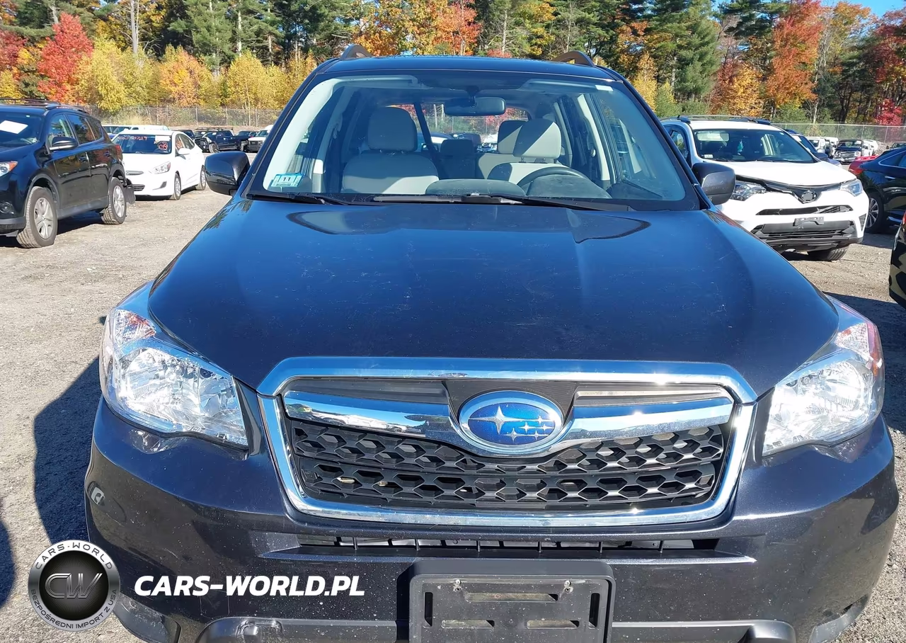 2016 Subaru Forester 2.5I Premium VIN:JF2SJADC7GH459457 - 12