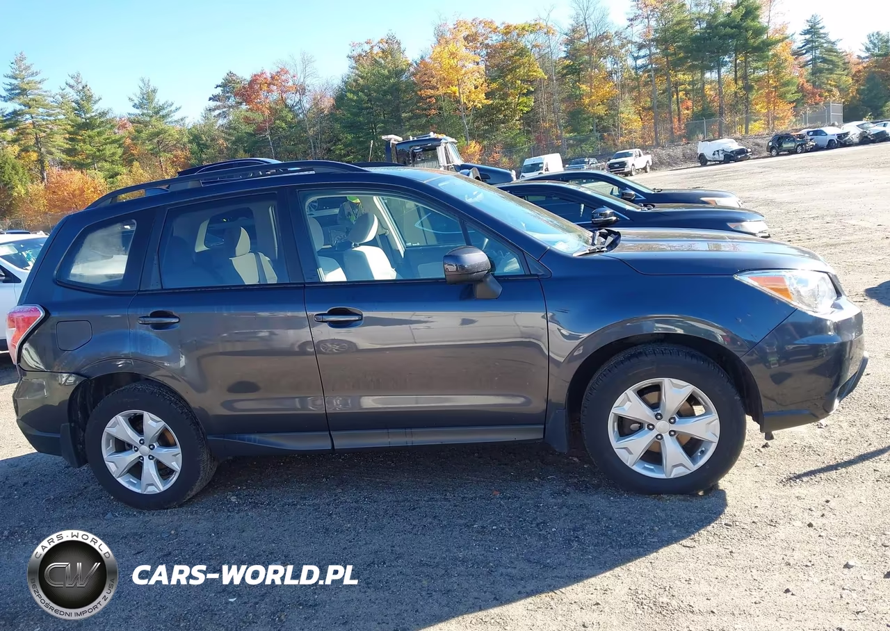 2016 Subaru Forester 2.5I Premium VIN:JF2SJADC7GH459457 - 13