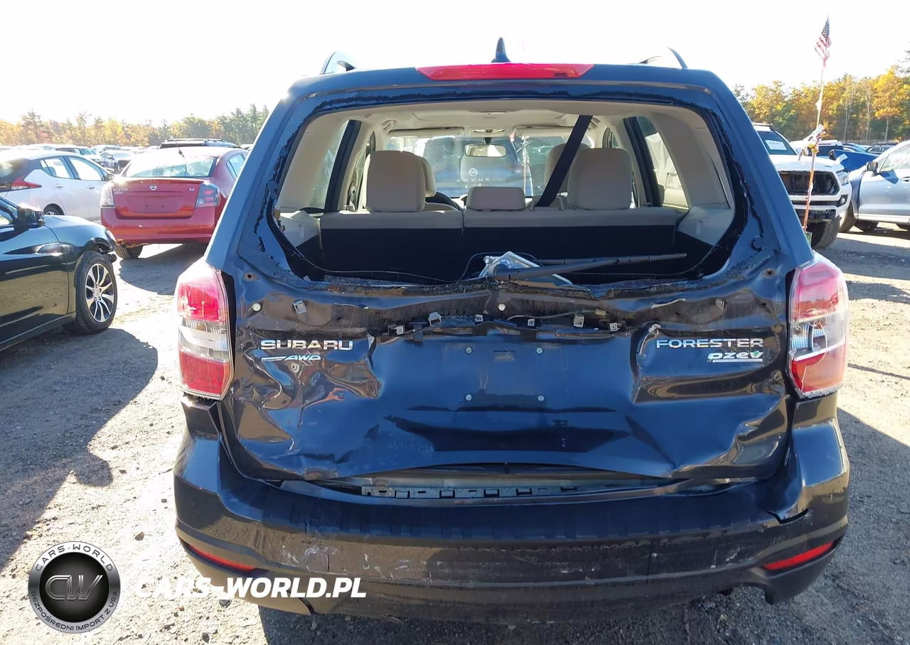 2016 Subaru Forester 2.5I Premium VIN:JF2SJADC7GH459457 - 16