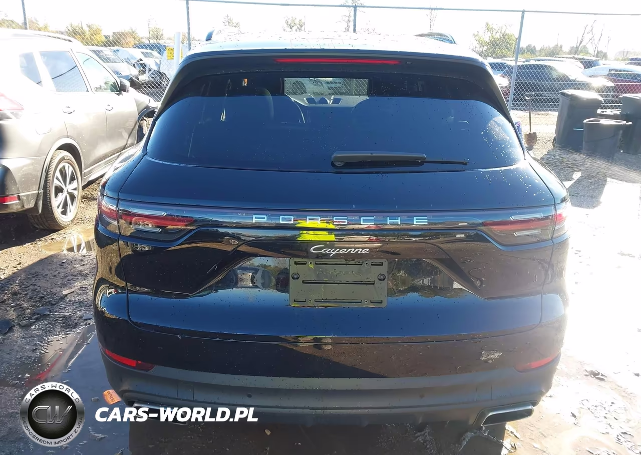 2019 Porsche Cayenne VIN:WP1AA2AY4KDA09912 - 16