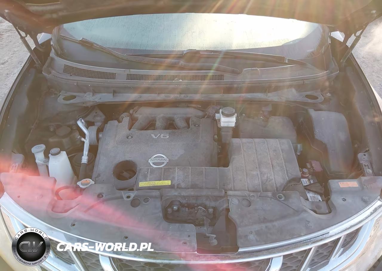 2011 Nissan Murano Crosscabriolet VIN:JN8AZ1FY4BW002092 - 10