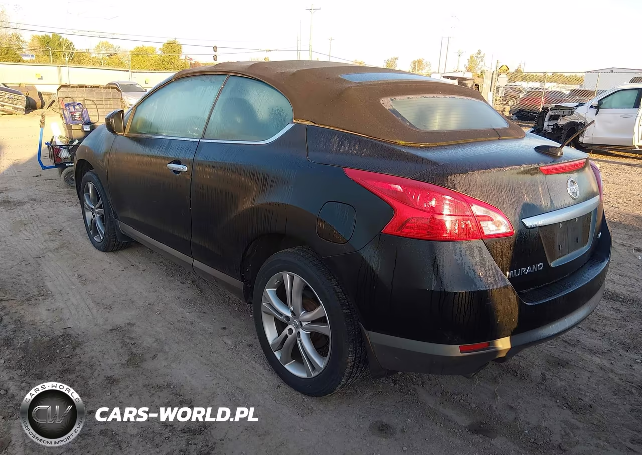 2011 Nissan Murano Crosscabriolet VIN:JN8AZ1FY4BW002092 - 3