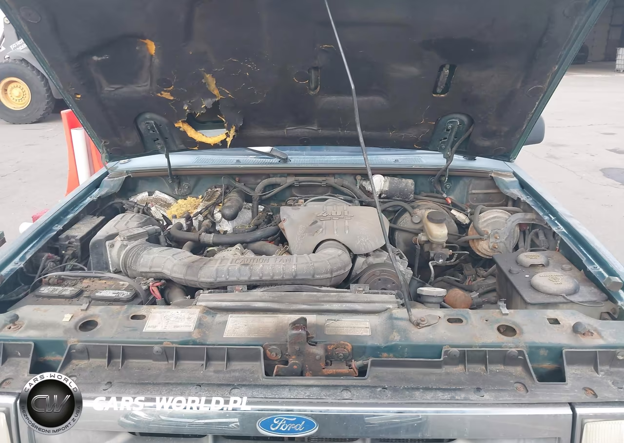 1992 Ford Explorer VIN:1FMDU34X7NUB37124 - 10