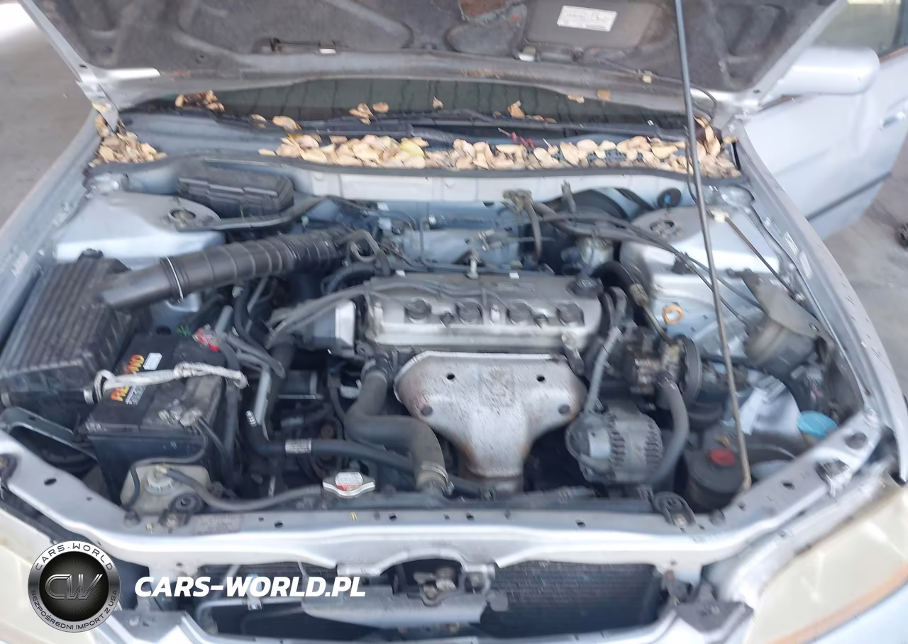 1998 Honda Accord Lx VIN:1HGCG5641WA074189 - 10