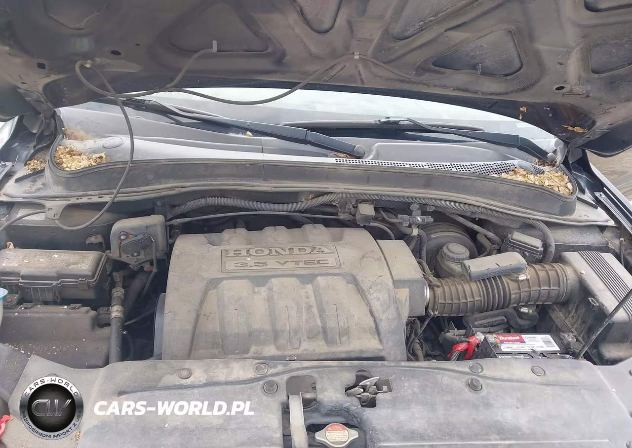 2008 Honda Pilot Ex-L VIN:5FNYF18538B002314 - 10