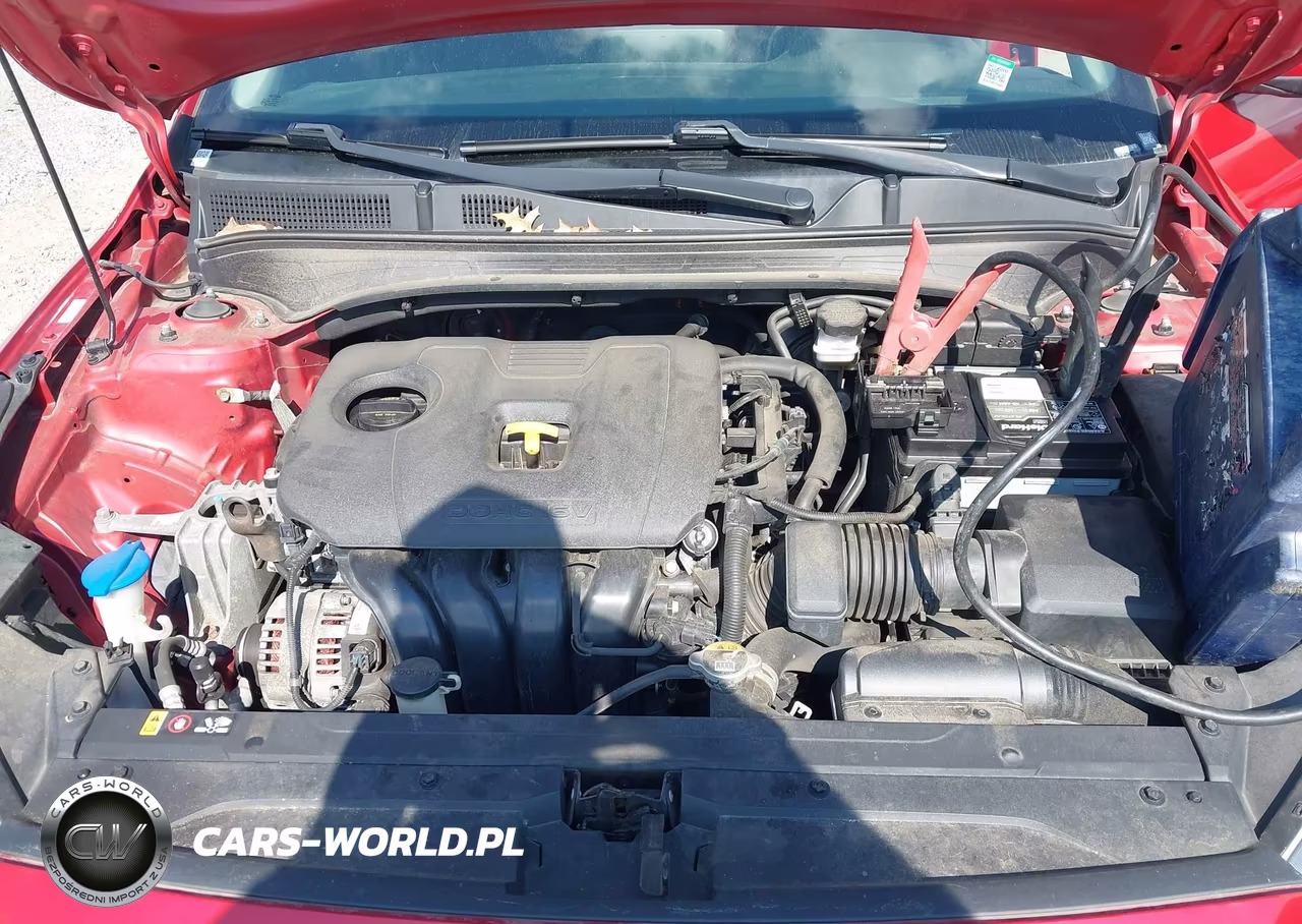 2019 Kia Forte Lxs VIN:3KPF24ADXKE029982 - 10