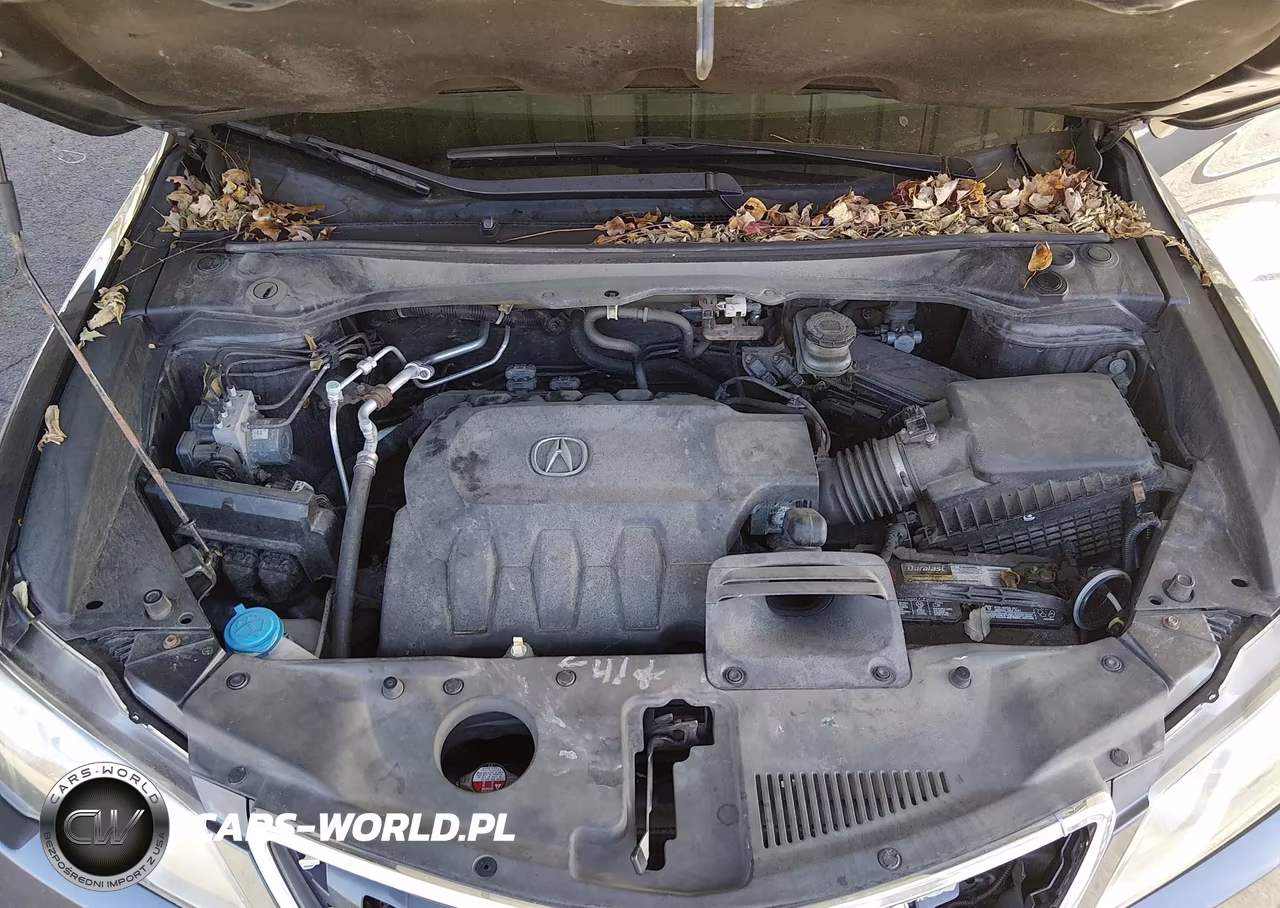 2015 Acura Rdx VIN:5J8TB4H31FL010882 - 10