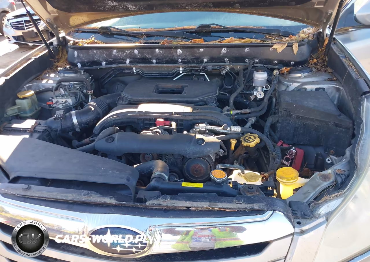 2010 Subaru Outback 2.5I Premium VIN:4S4BRBGC2A3325643 - 10