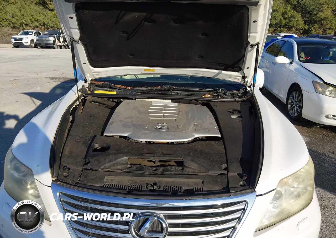 2011 Lexus Ls 460 VIN:JTHBL5EF3B5105226 - 10