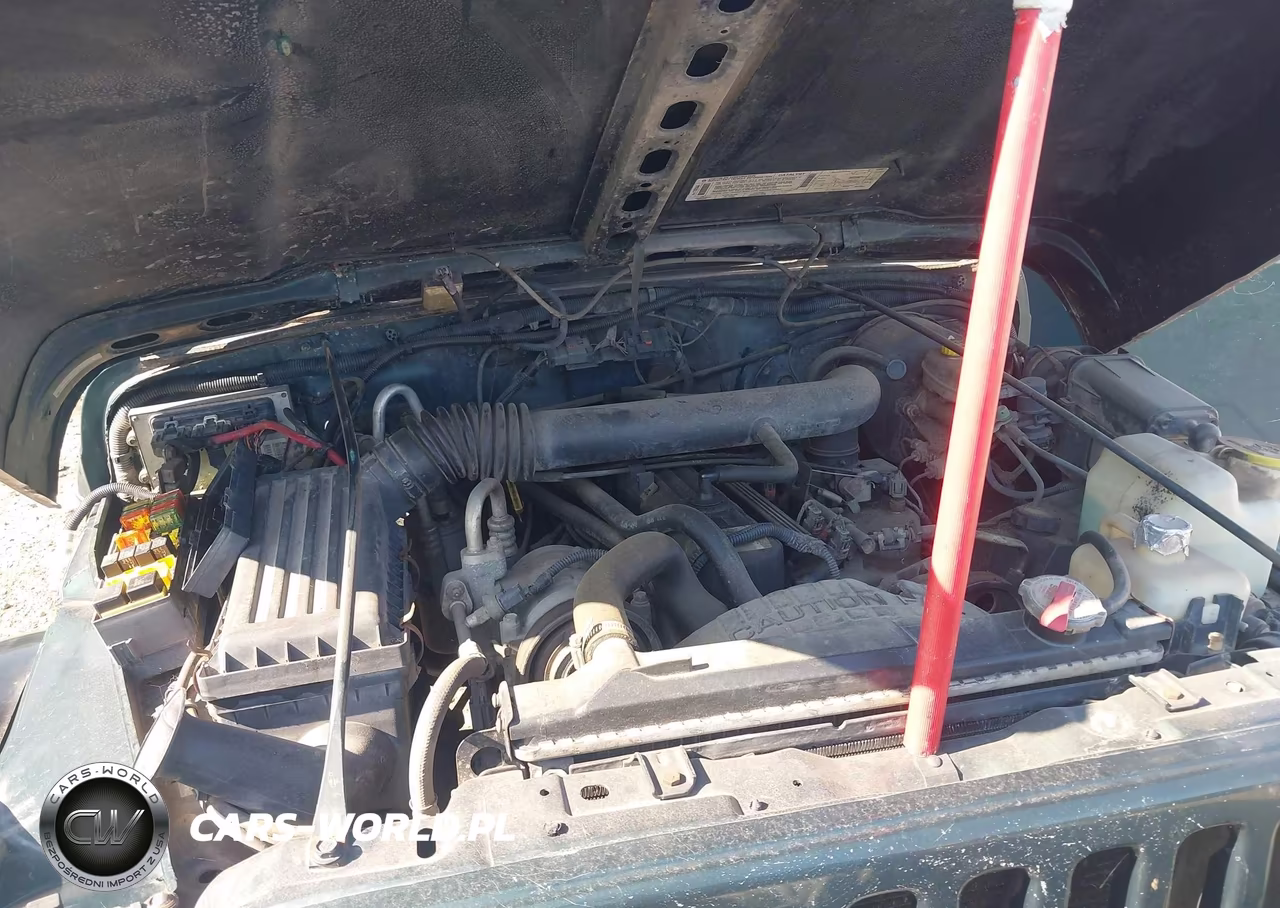 JEEP WRANGLER VIN:1J4FY49S7XP440582 - 10