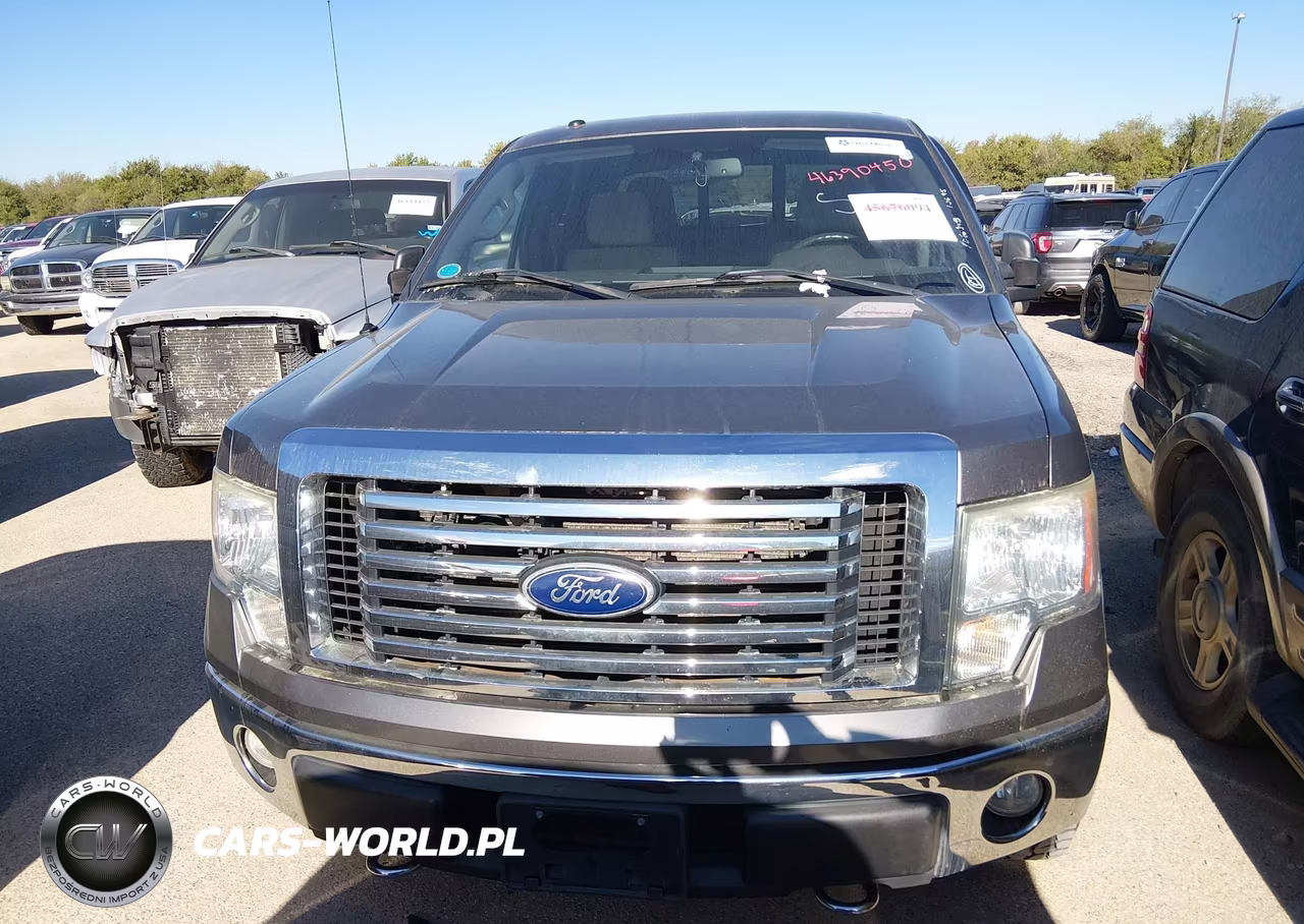 2010 Ford F-150 Fx4-Harley-Davidson-King Ranch-Lariat-Platinum-Xl-Xlt VIN:1FTFW1EV2AFB55229 - 12
