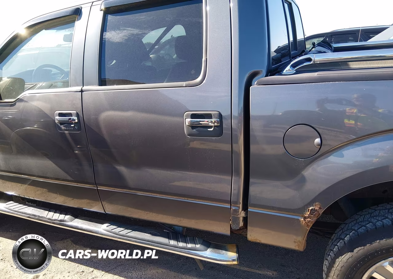 2010 Ford F-150 Fx4-Harley-Davidson-King Ranch-Lariat-Platinum-Xl-Xlt VIN:1FTFW1EV2AFB55229 - 14