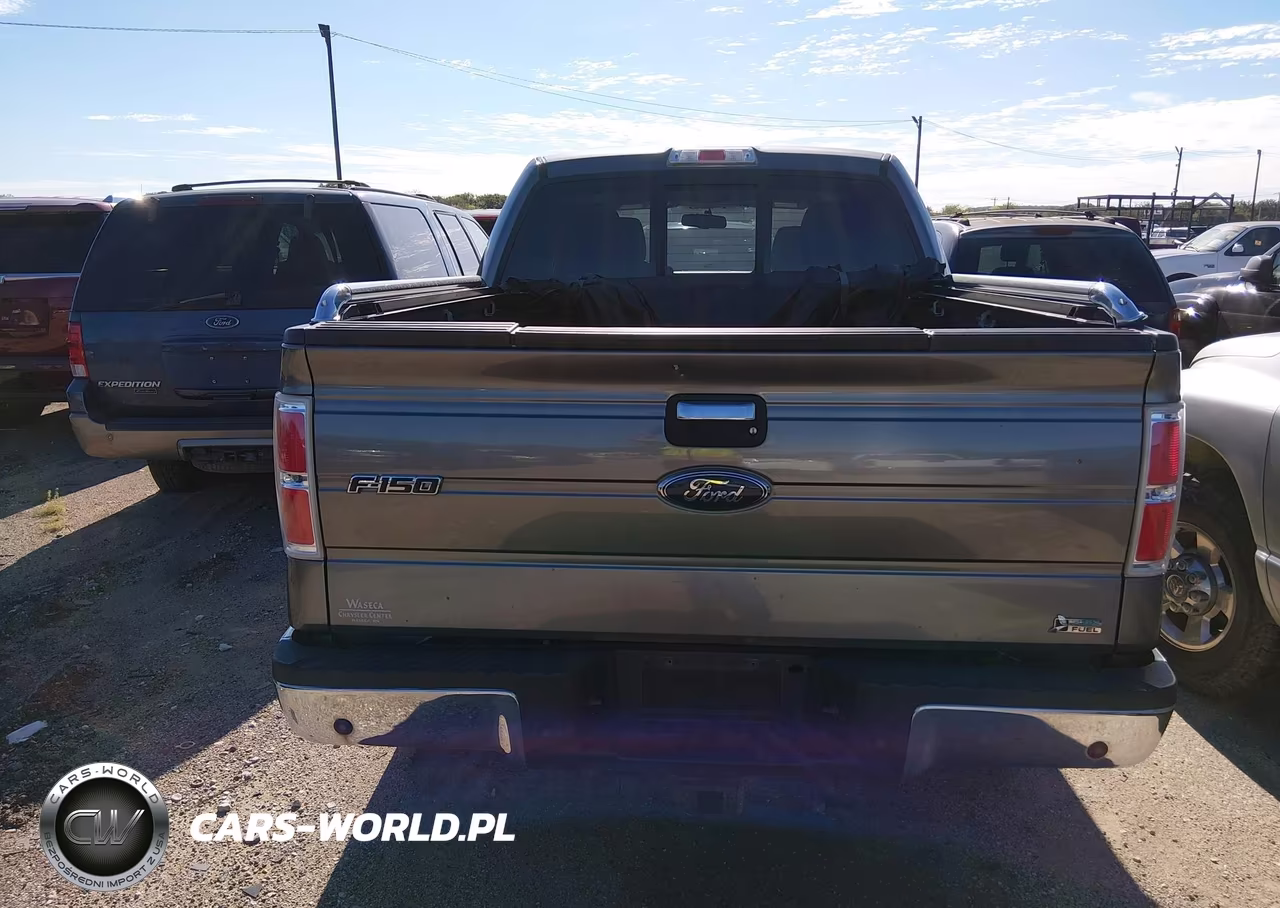 2010 Ford F-150 Fx4-Harley-Davidson-King Ranch-Lariat-Platinum-Xl-Xlt VIN:1FTFW1EV2AFB55229 - 16