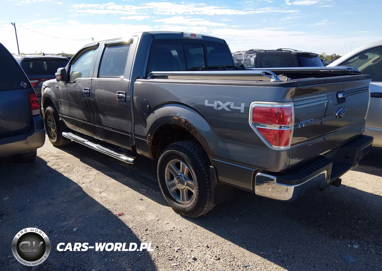 2010 Ford F-150 Fx4-Harley-Davidson-King Ranch-Lariat-Platinum-Xl-Xlt VIN:1FTFW1EV2AFB55229 - 3