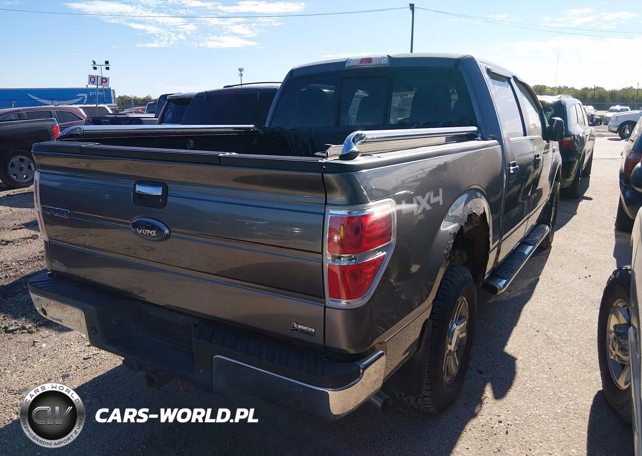 2010 Ford F-150 Fx4-Harley-Davidson-King Ranch-Lariat-Platinum-Xl-Xlt VIN:1FTFW1EV2AFB55229 - 4
