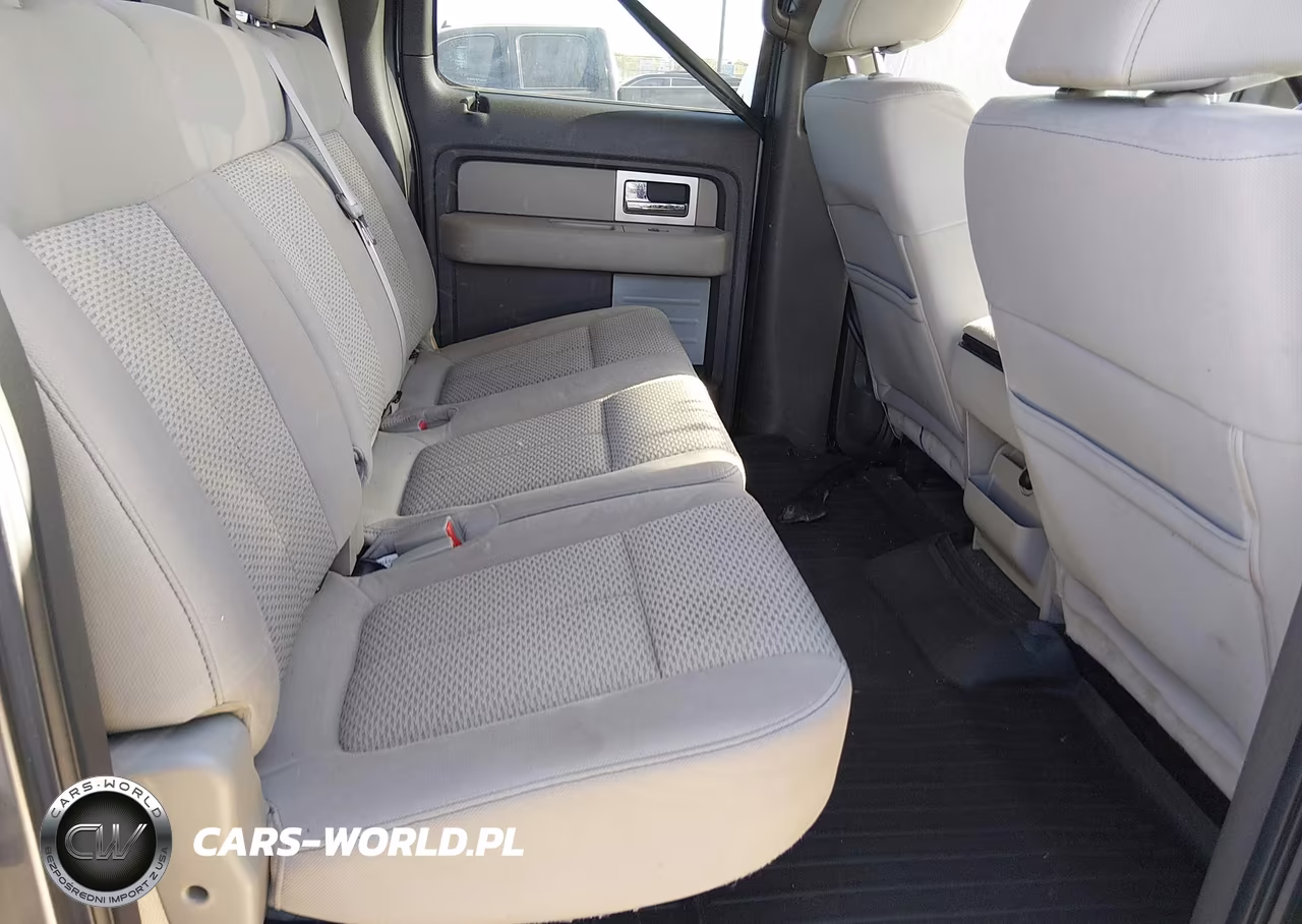 2010 Ford F-150 Fx4-Harley-Davidson-King Ranch-Lariat-Platinum-Xl-Xlt VIN:1FTFW1EV2AFB55229 - 8
