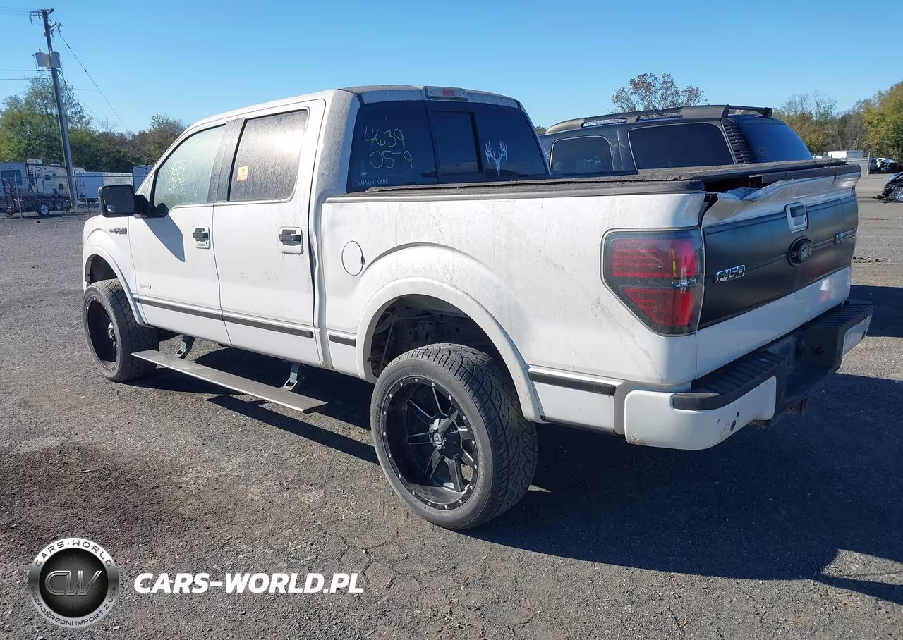 2013 Ford F-150 Platinum VIN:1FTFW1ET2DFA70538 - 3