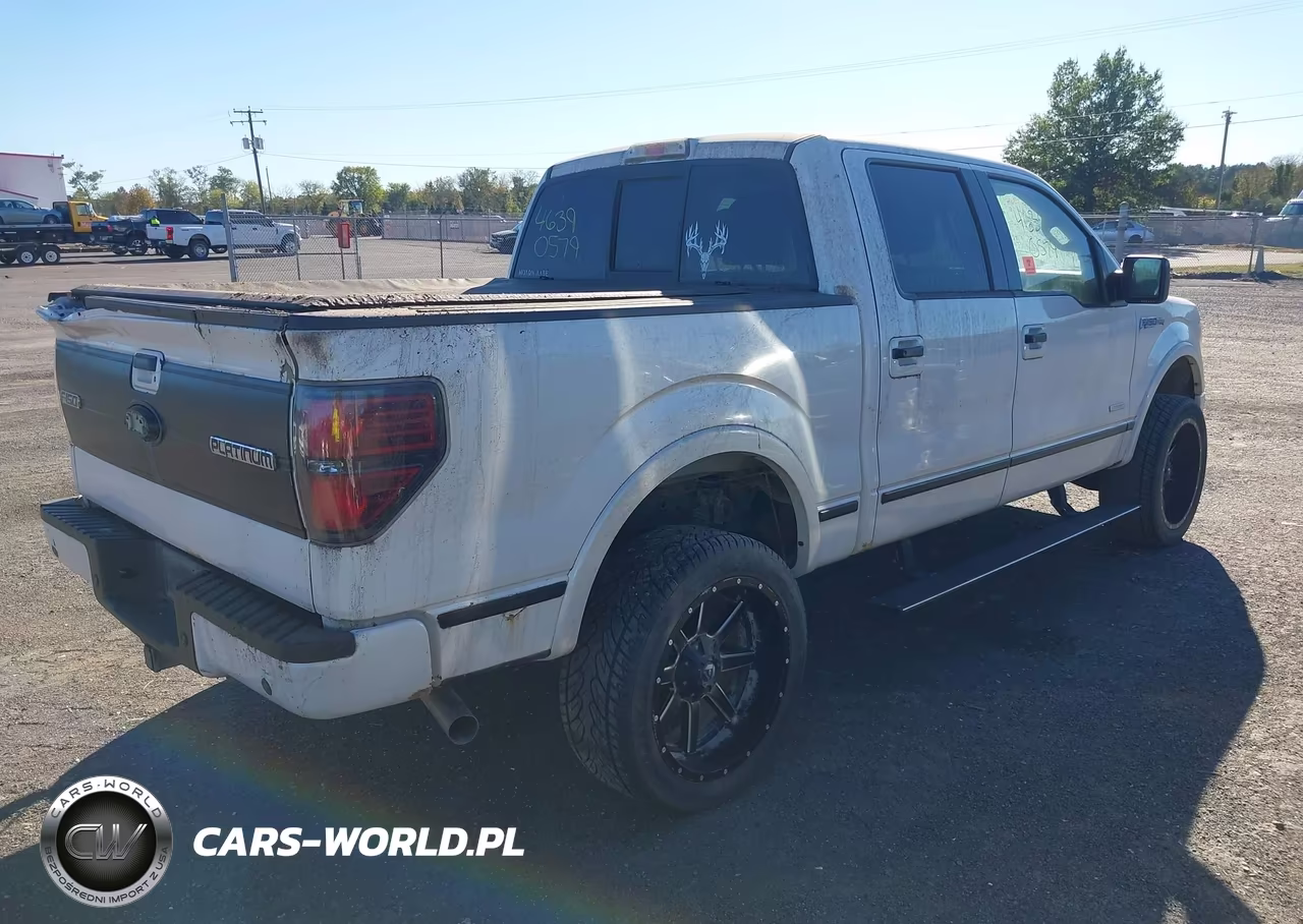 2013 Ford F-150 Platinum VIN:1FTFW1ET2DFA70538 - 4