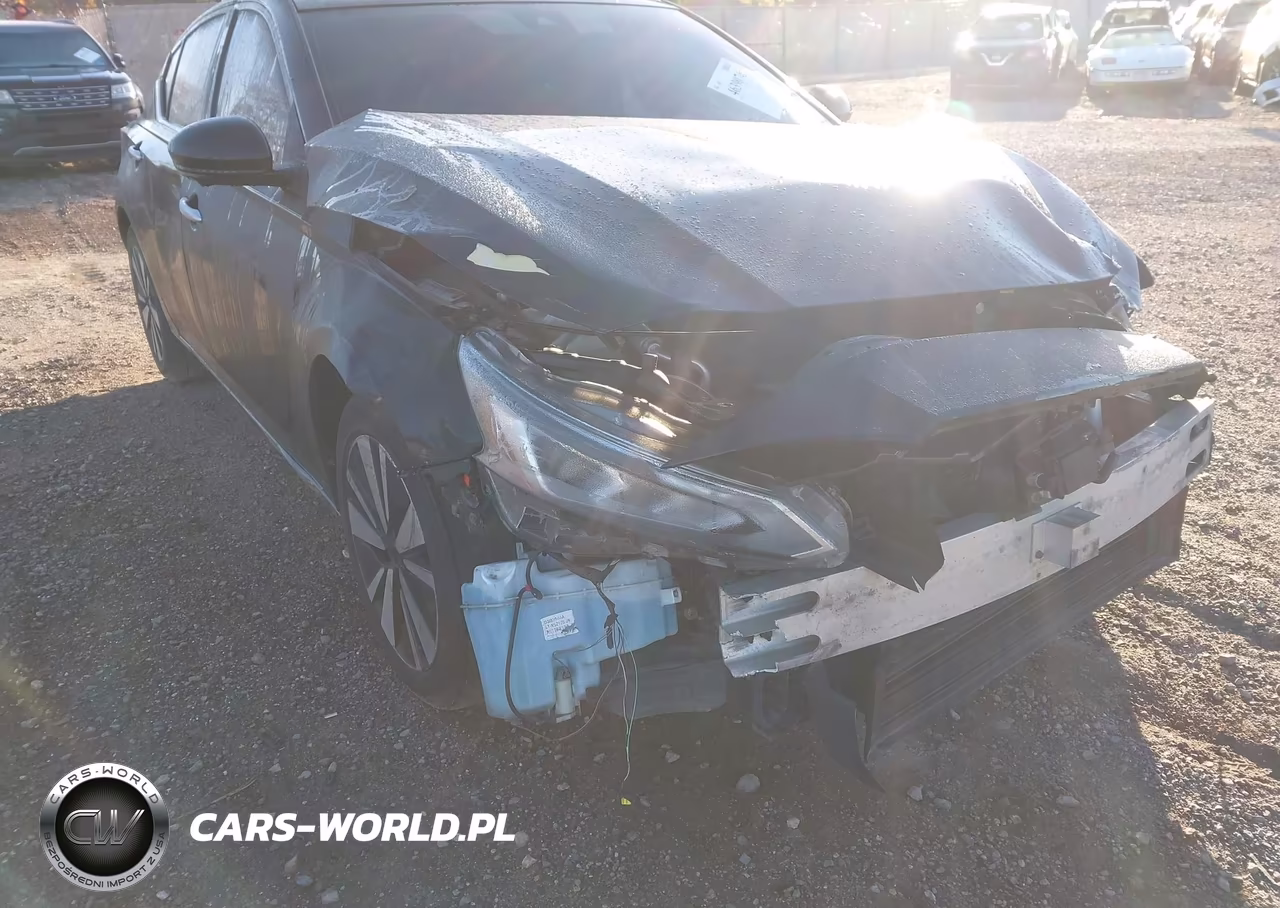 2019 Nissan Altima 2.5 Sl VIN:1N4BL4EV4KC160739 - 17