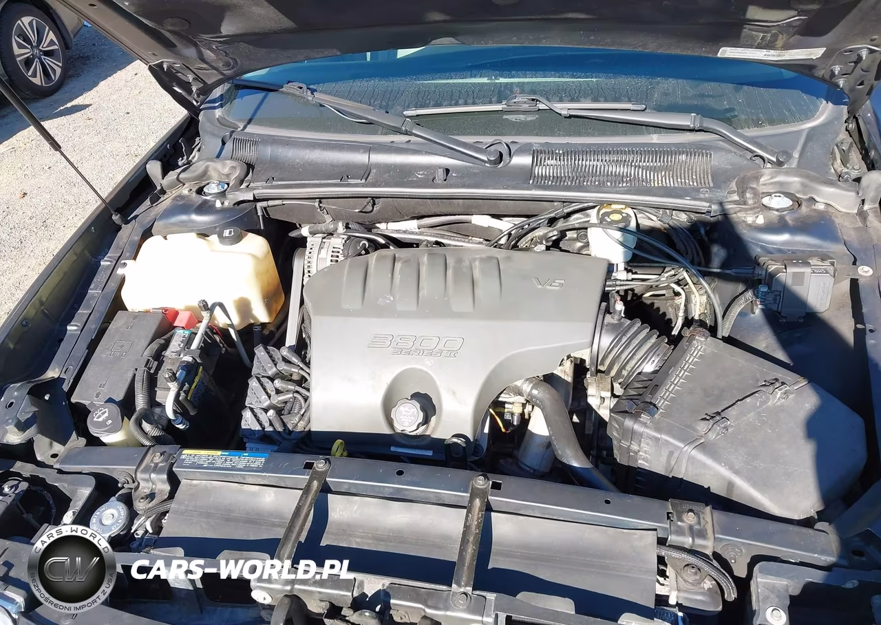 2004 Buick Lesabre Custom VIN:1G4HP52K744116168 - 10