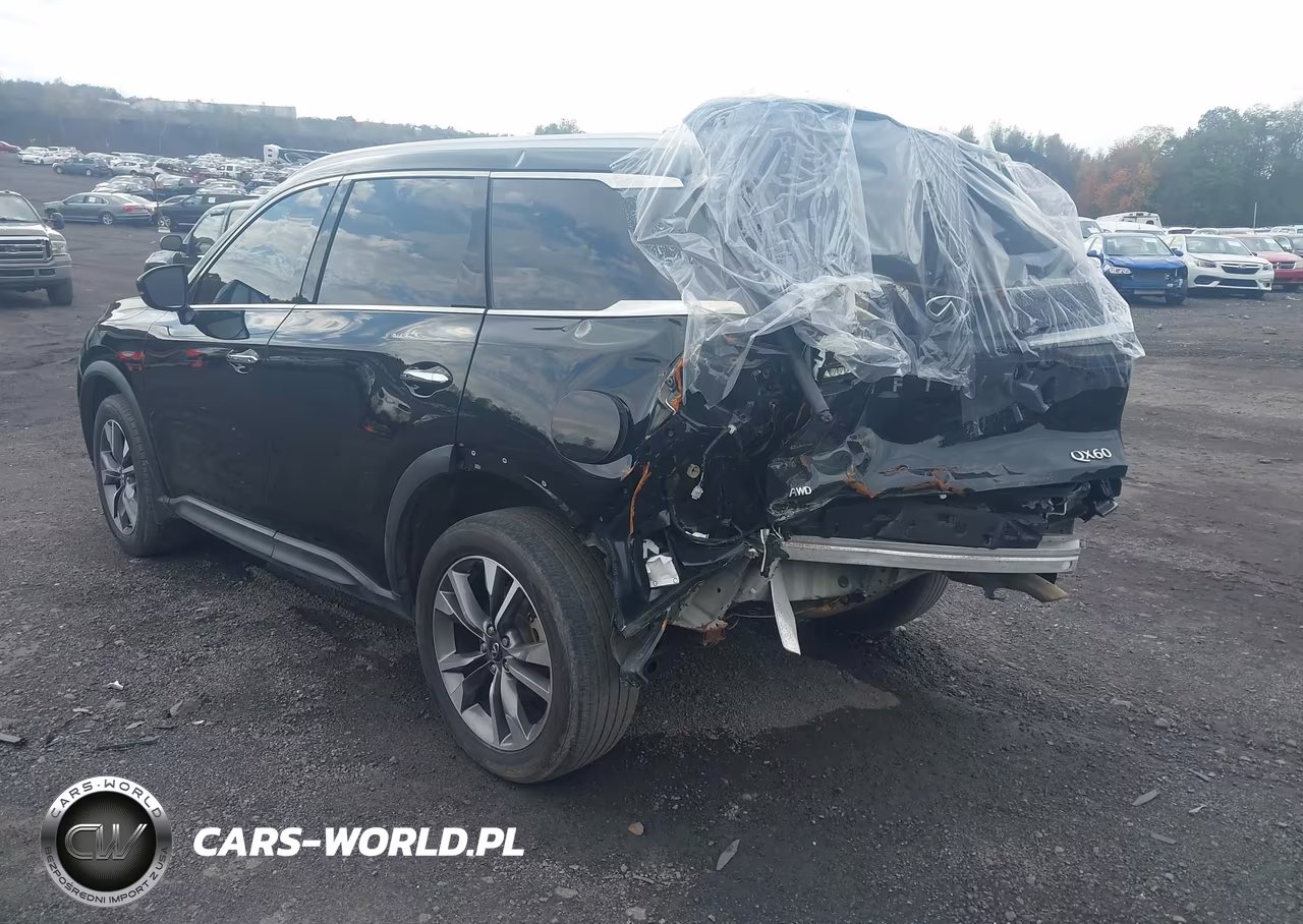 2024 Infiniti Qx60 Luxe Awd VIN:5N1DL1FS4RC336622 - 3