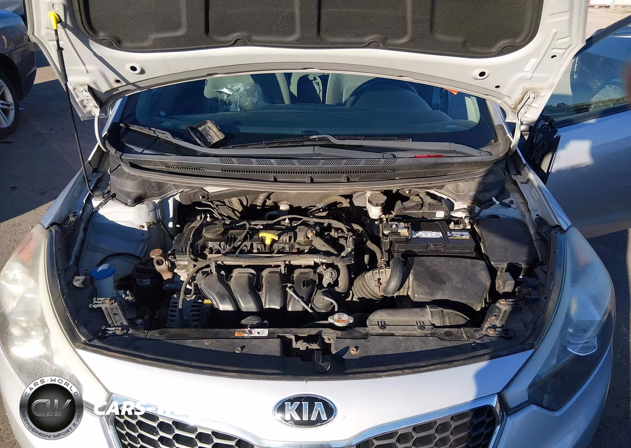 2015 Kia Forte Lx VIN:KNAFK4A63F5346650 - 10