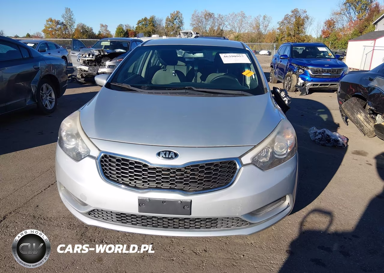 2015 Kia Forte Lx VIN:KNAFK4A63F5346650 - 12