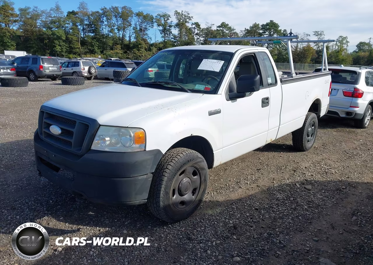 2006 Ford F-150 Stx-Xl-Xlt VIN:1FTRF14W66NA98649 - 2