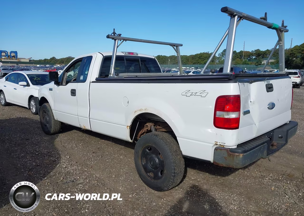 2006 Ford F-150 Stx-Xl-Xlt VIN:1FTRF14W66NA98649 - 6