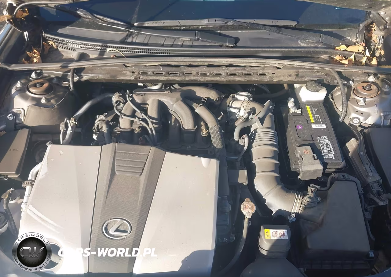 2020 Lexus Es 350 VIN:58ADZ1B13LU062142 - 10